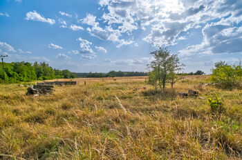 Prodej pozemku 7108 m², Liběchov
