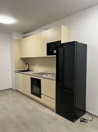 Pronájem bytu 2+kk v osobním vlastnictví 47 m², Teplice