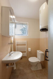 Prodej domu 180 m², Vyškov