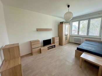 Pronájem bytu 1+1 v osobním vlastnictví 36 m², Havířov