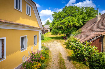 Prodej domu 250 m², Mišovice