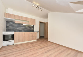 Pronájem bytu 2+kk v osobním vlastnictví 37 m², Plzeň