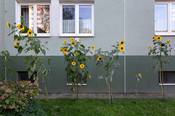 Prodej bytu 4+1 v osobním vlastnictví 72 m², Praha 4 - Záběhlice