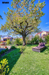 Prodej domu 258 m², Hrob