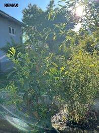 Prodej domu 258 m², Hrob