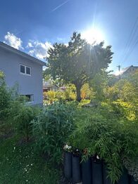 Prodej domu 258 m², Hrob
