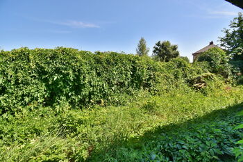 Prodej domu 55 m², Velký Třebešov