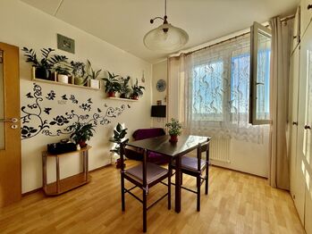 Pronájem bytu 1+1 v osobním vlastnictví 40 m², Plzeň