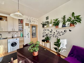 Pronájem bytu 1+1 v osobním vlastnictví 40 m², Plzeň