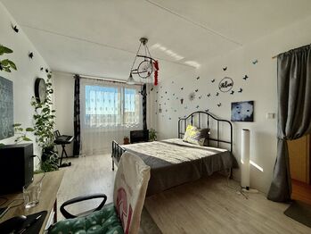 Pronájem bytu 1+1 v osobním vlastnictví 40 m², Plzeň