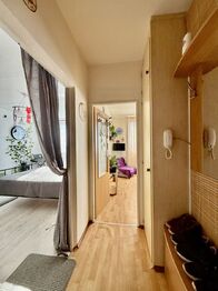 Pronájem bytu 1+1 v osobním vlastnictví 40 m², Plzeň