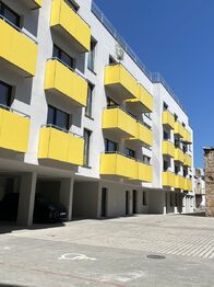 Pronájem obchodních prostor, Brno
