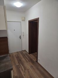 Pronájem bytu 1+1 v osobním vlastnictví 33 m², Napajedla