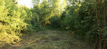 Pozemek - Prodej pozemku 340 m², Veselá