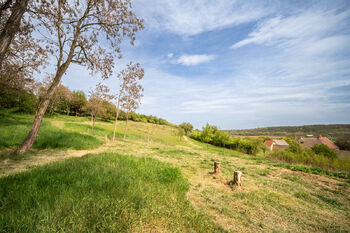 Prodej pozemku 12056 m², Holedeč