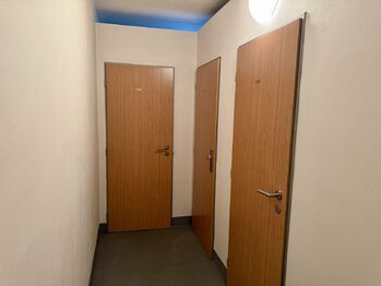 Prodej bytu 3+kk v osobním vlastnictví 84 m², Praha 10 - Vršovice