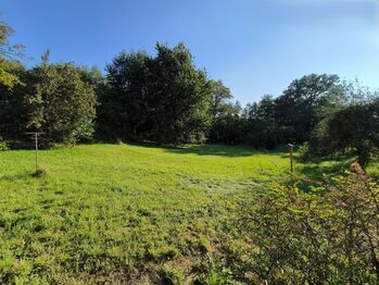 Prodej pozemku 2500 m², Dolní Lutyně