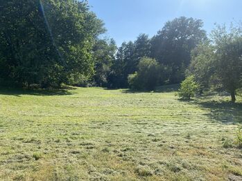 Prodej pozemku 2500 m², Dolní Lutyně