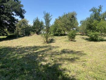 Prodej pozemku 2500 m², Dolní Lutyně