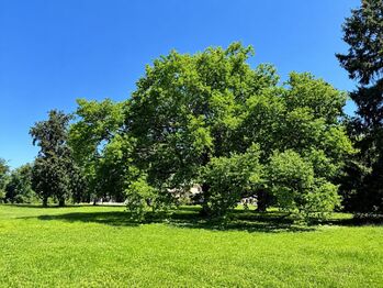 Prodej bytu 2+kk v osobním vlastnictví 58 m², Býchory