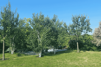 Prodej domu 233 m², Heršpice