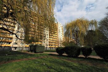 Pronájem bytu 1+kk v osobním vlastnictví 30 m², Hradec Králové