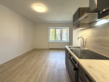 Pronájem bytu 1+kk v osobním vlastnictví 30 m², Ořech