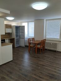 Pronájem bytu 3+kk v družstevním vlastnictví 62 m², Most