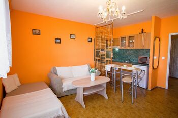 Pronájem bytu 1+kk v osobním vlastnictví 33 m², Brno