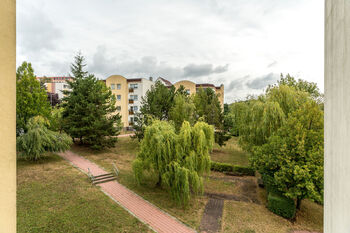 Prodej bytu 1+kk v osobním vlastnictví 31 m², Chlumec