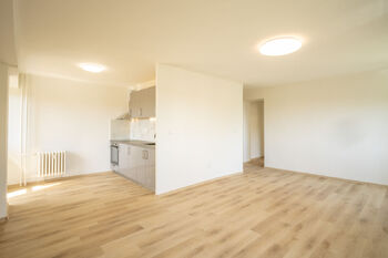 Pronájem bytu 2+kk v družstevním vlastnictví 55 m², Ostrava