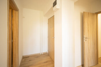 Pronájem bytu 2+kk v družstevním vlastnictví 55 m², Ostrava