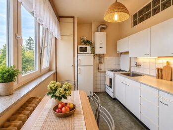 Prodej bytu 2+1 v osobním vlastnictví 60 m², Plasy