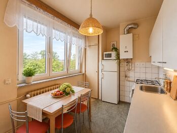 Prodej bytu 2+1 v osobním vlastnictví 60 m², Plasy