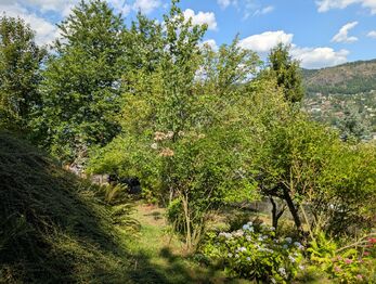 Prodej chaty / chalupy 28 m², Ústí nad Labem