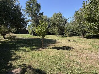 Pronájem pozemku 550 m², Praha 5 - Zbraslav