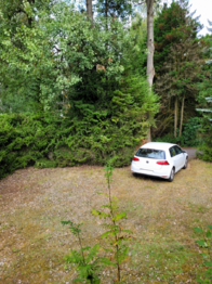 parkování na pozemku - Prodej chaty / chalupy 60 m², Jesenice