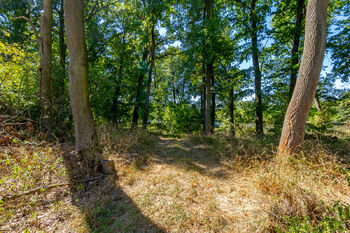 přístupová cesta k pozemku - Prodej pozemku 1539 m², Záluží