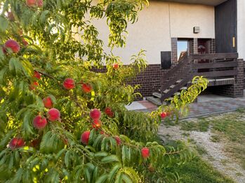 Prodej domu 236 m², Kralovice