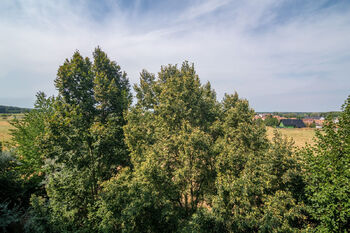Prodej bytu 3+1 v družstevním vlastnictví 69 m², Břeclav