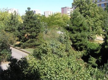 výhled - Prodej bytu 3+1 v osobním vlastnictví 63 m², Praha 4 - Lhotka