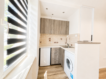 Pronájem bytu 1+kk v osobním vlastnictví 22 m², Havířov