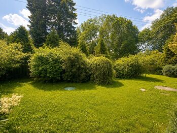 Prodej chaty / chalupy 50 m², Pšov