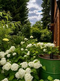 Prodej chaty / chalupy 50 m², Pšov