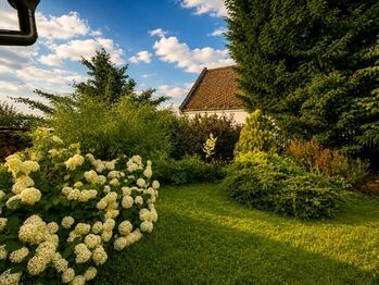 Prodej chaty / chalupy 50 m², Pšov