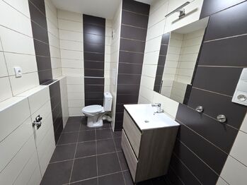 Pronájem bytu 1+kk v osobním vlastnictví 31 m², Doloplazy