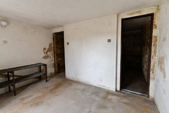 Prodej pozemku 875 m², Zlatá Olešnice