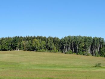Prodej pozemku 28701 m², Hlavňovice
