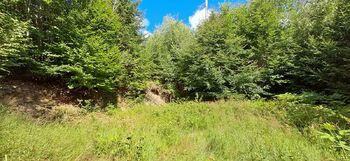 Prodej pozemku 5194 m², Hlavňovice