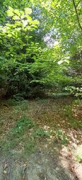 Prodej pozemku 5194 m², Hlavňovice